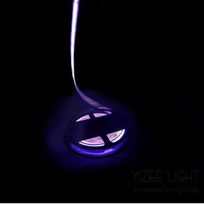 Couleur sans points Cob Rgb Rgbw bande LED adressable 784Chips/M 24V 12mm