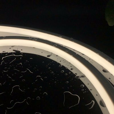 20*20 Bandes LED Flex à haute émission IP67 DC24V à néon avec tube en silicone