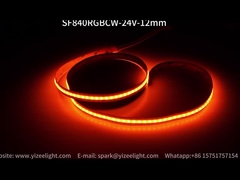 RGB + CCT COB LED sans points RGB + 3000-6000K LED Strip